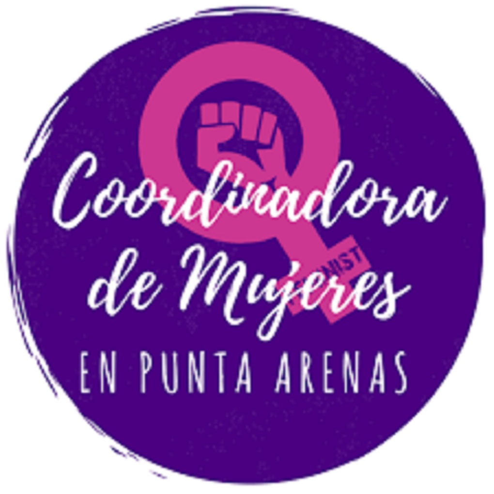 Coordinadora de Mujeres en Punta Arenas emite comunicado respecto del violento ataque ocurrido en Porvenir contra dos hombres