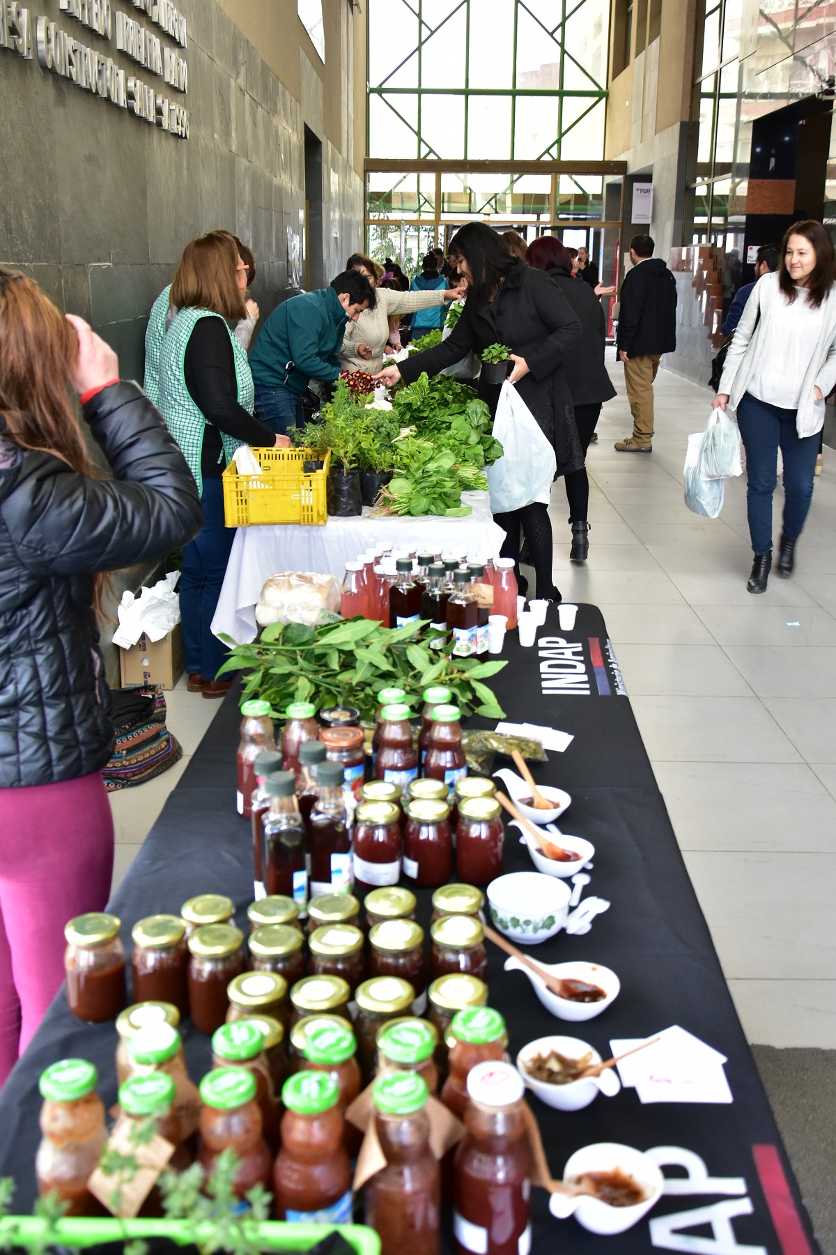 Hortalizas sanas y frescas llegan a la Universidad de Magallanes