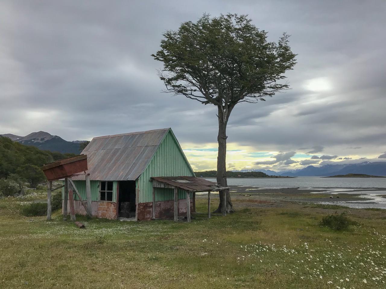 Planean desarrollar un tren turístico en Isla Navarino entre Puerto Williams y Bahía Róbalo
