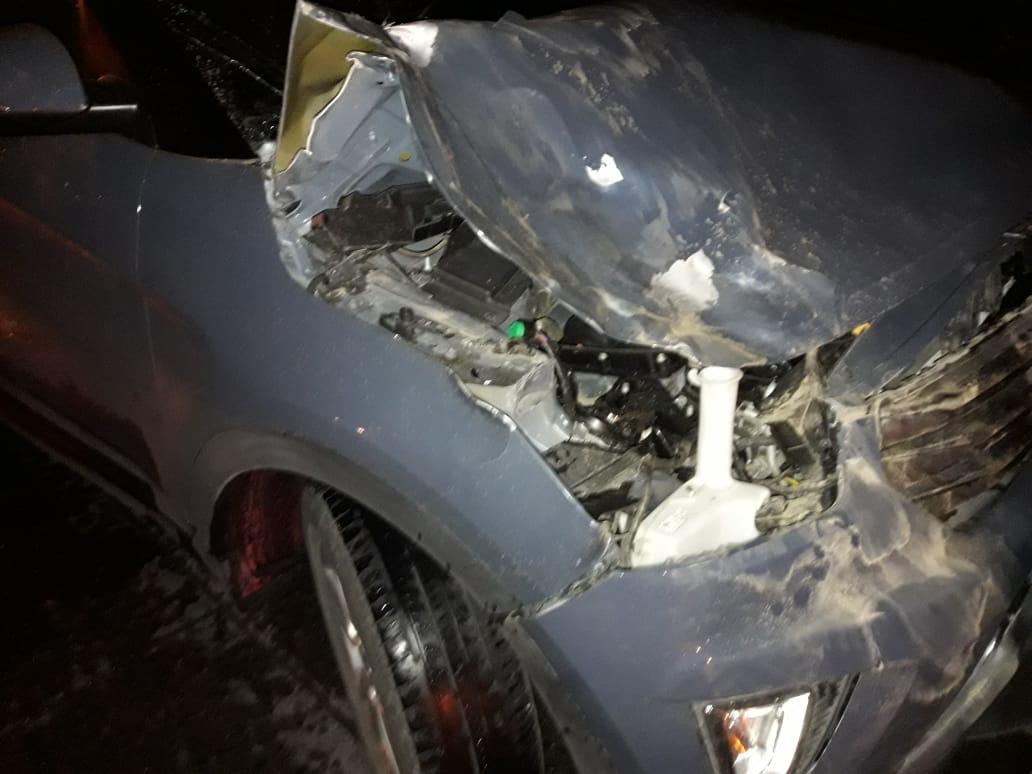 Con daños de consideración resultó el auto del médico geriatra Ramón Lobos tras impactar contra un caballo la madrugada del lunes