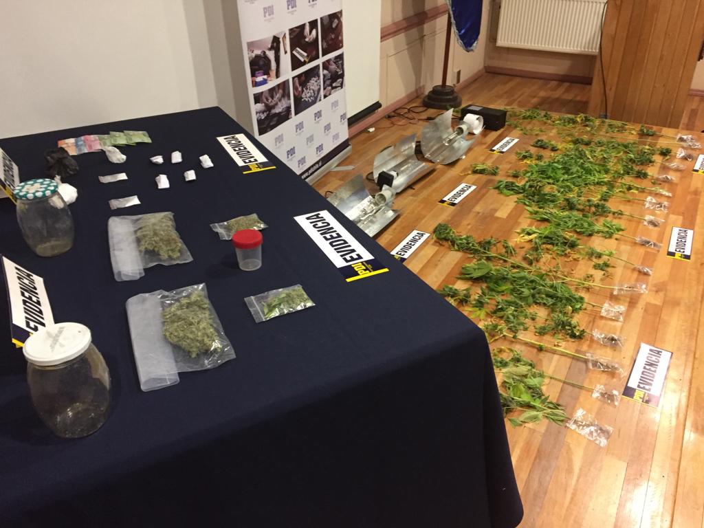 Cuatro detenidos por tráfico de drogas en Porvenir