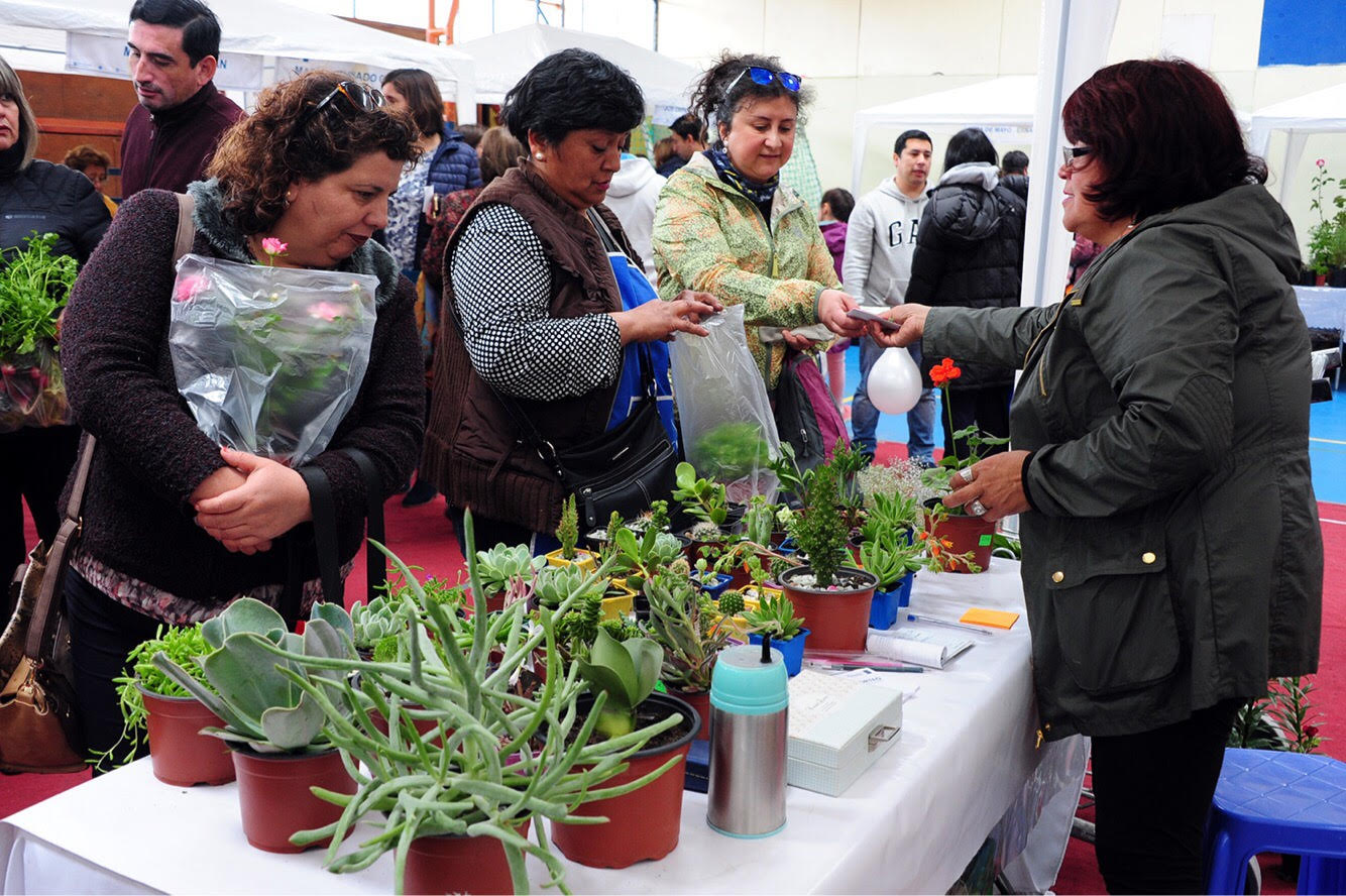 Exitosa Feria Saludable se efectuó en Punta Arenas