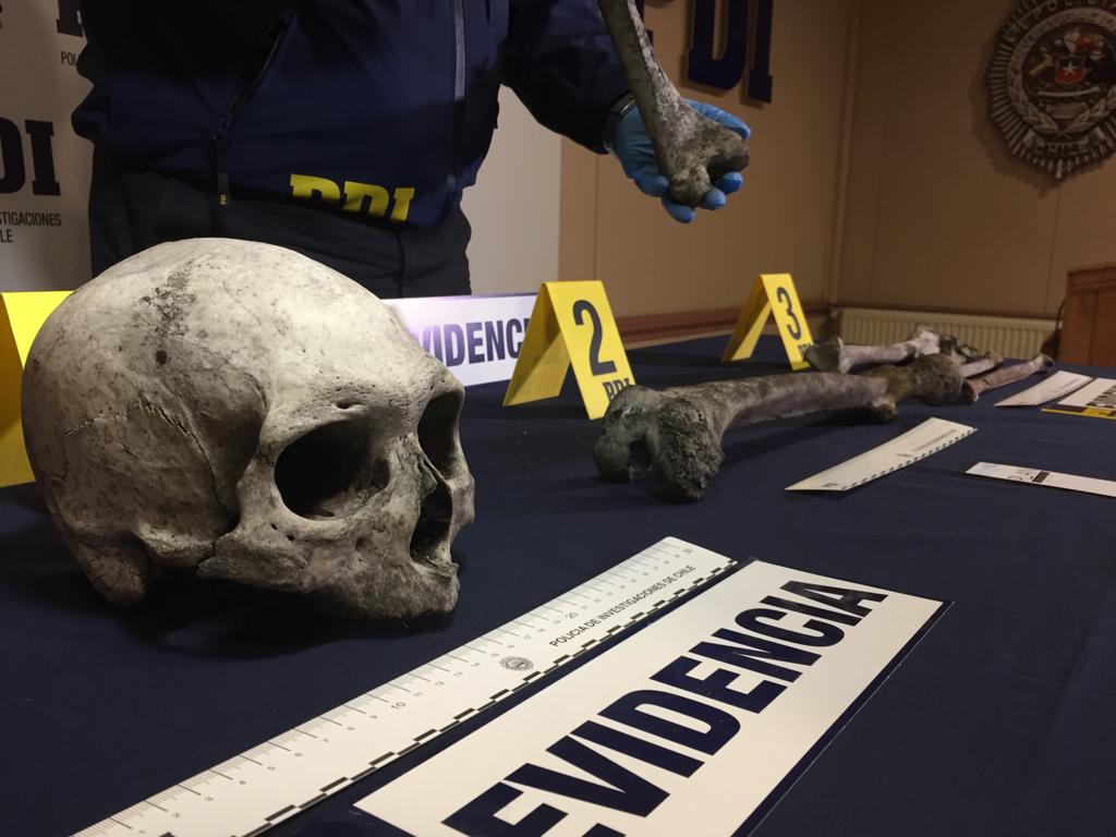 Investigan restos óseos encontrados en punta Yartou, comuna de Timaukel, provincia de Tierra del Fuego