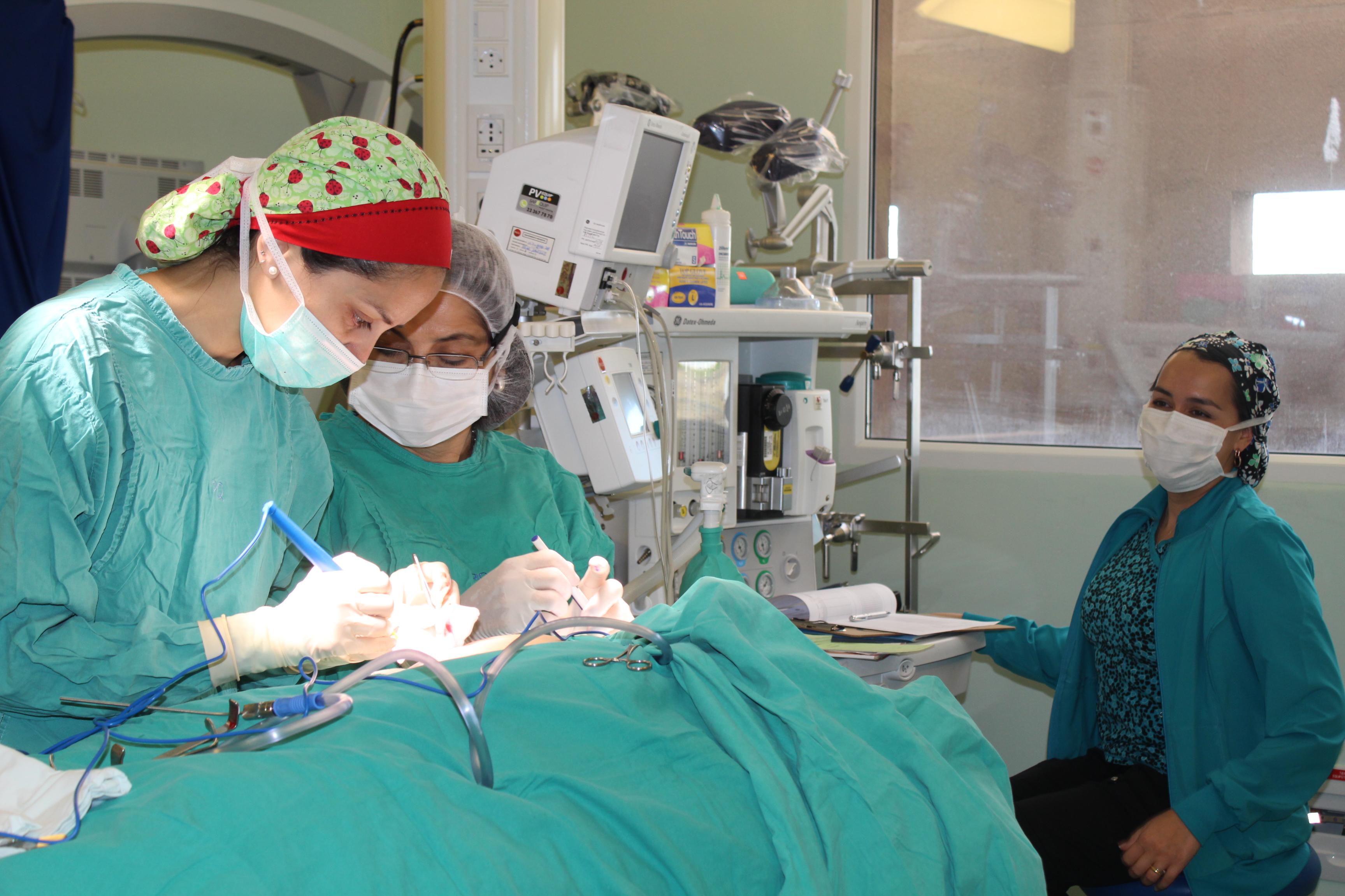 Ronda de Cirugías Infantiles en Hospital Clínico Magallanes benefició a 14 pacientes de la región