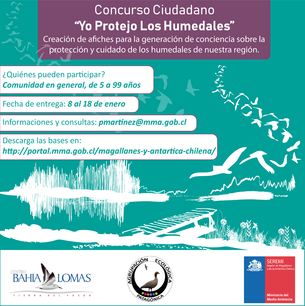 Invitan a participar en el Concurso “Yo Protejo los Humedales” en Magallanes