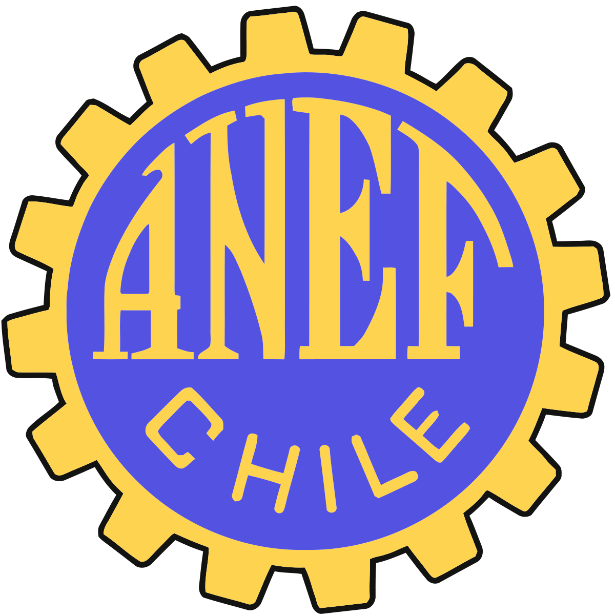 ANEF Magallanes se refiere a cambios en la Intendencia Regional