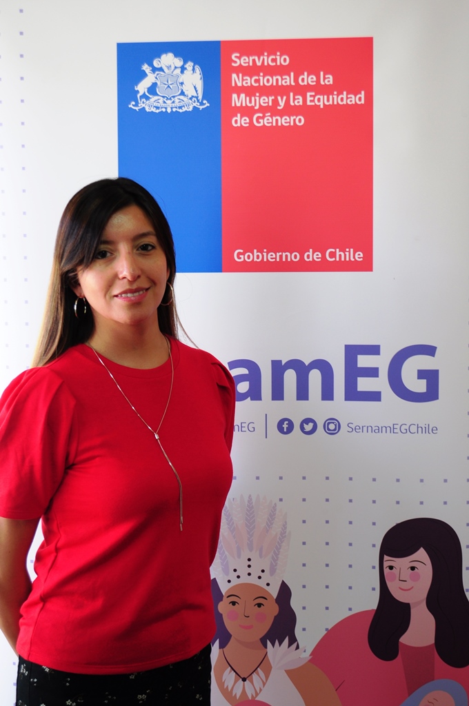 Seleccionada a través de concurso de Alta Dirección Pública:  Fabiola García Pinto asume como nueva Directora Regional de SernamEG Magallanes