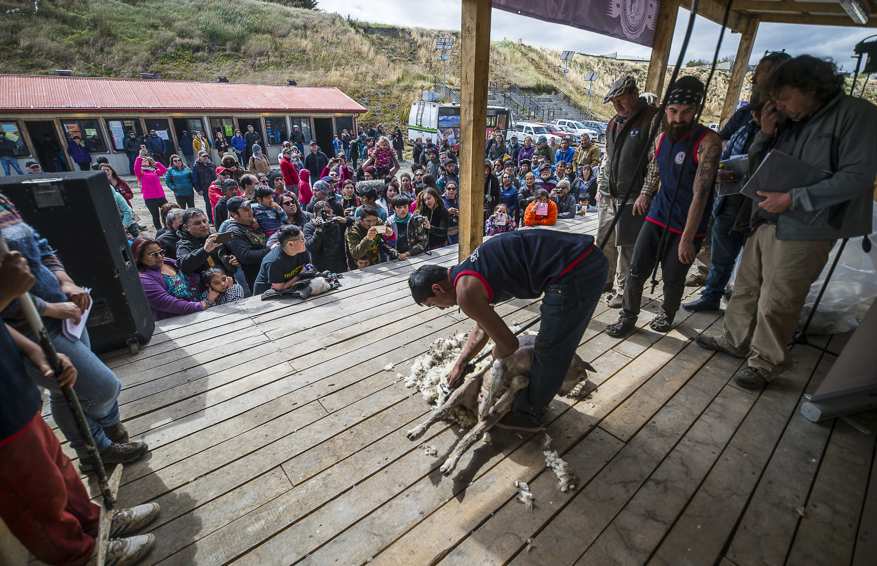 Swanhouse tuvo destacada participación en primera competencia de esquila de Cerro Sombrero