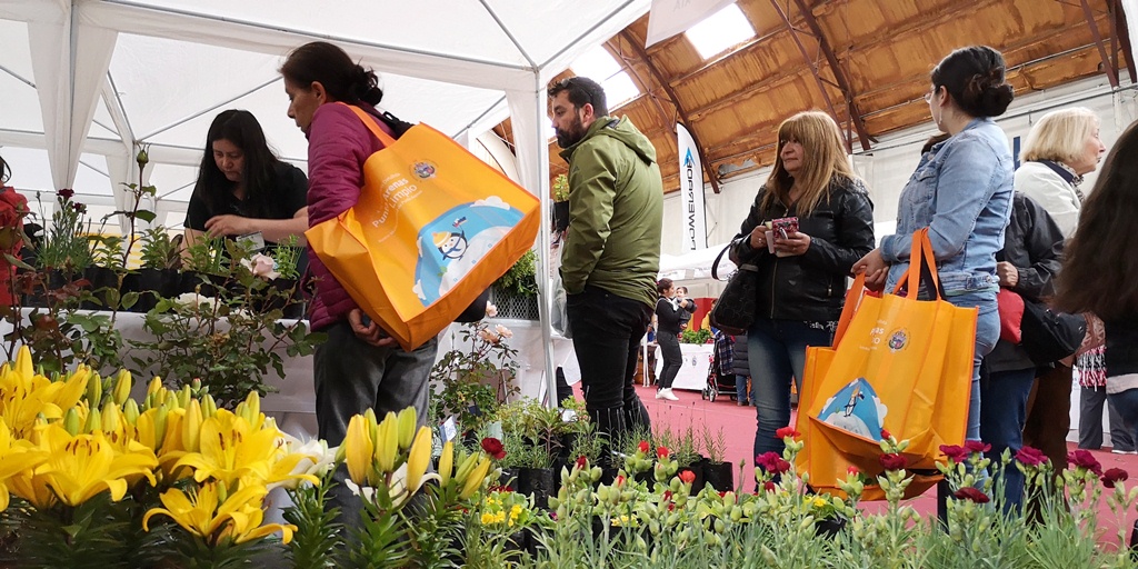 Feria Saludable en Punta Arenas se efectuará en la Escuela Argentina