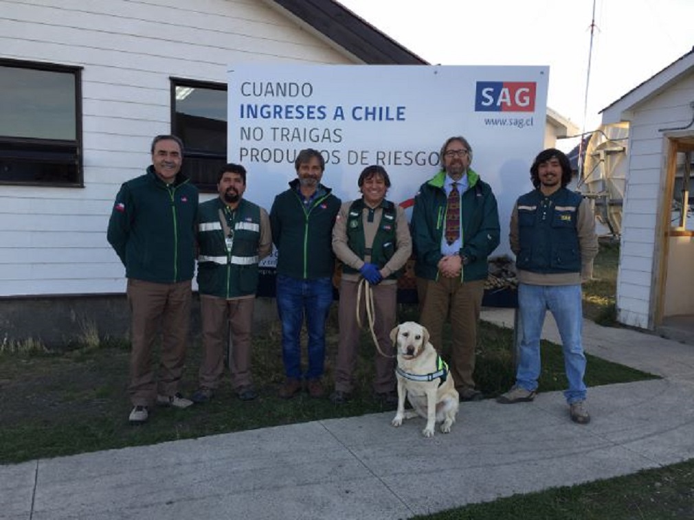 SAG interceptó más de 1.5 toneladas de productos de riesgo en controles fronterizos regionales en lo que va de 2019