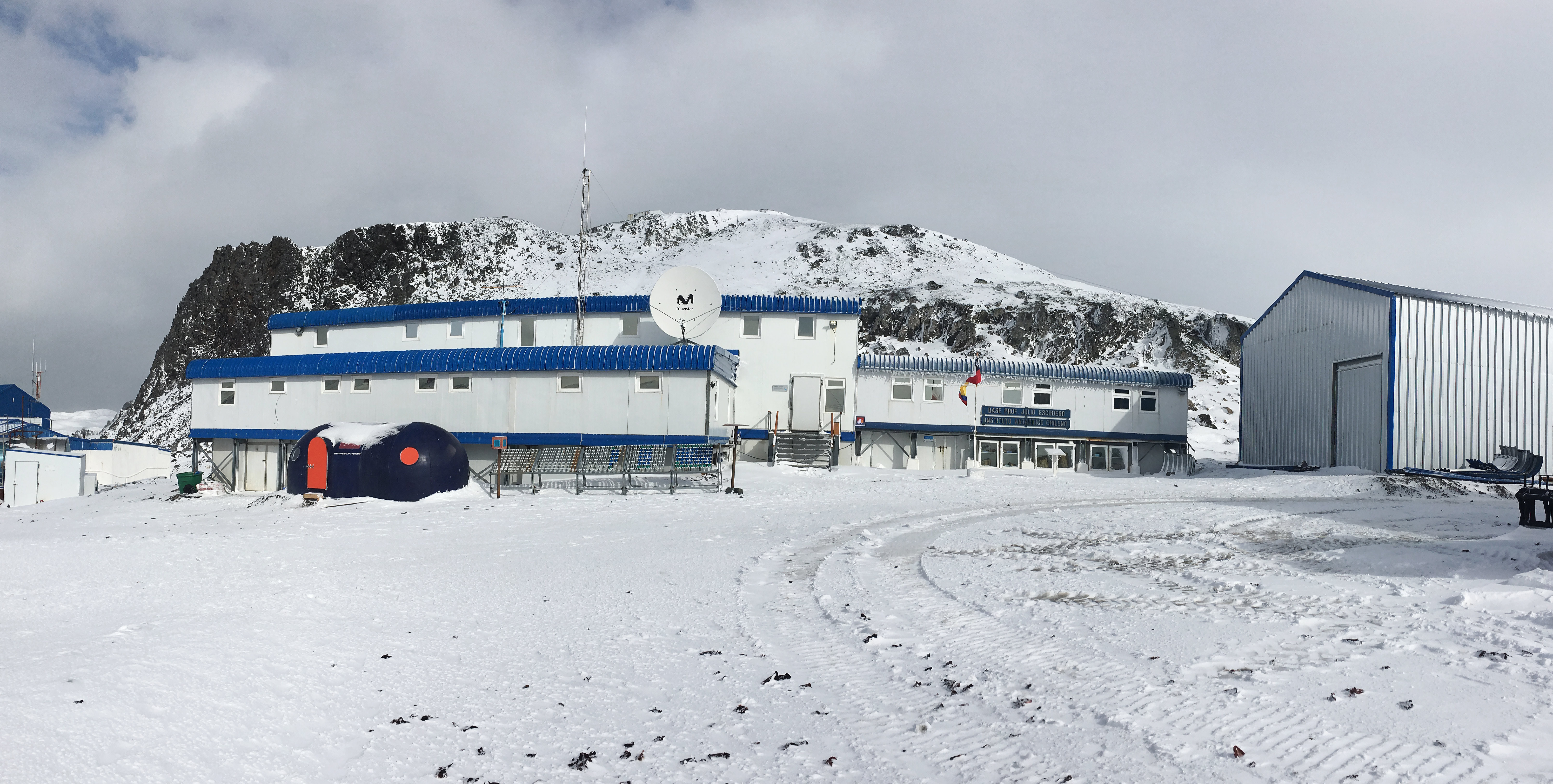 Seminarios Científicos en Antártica: Investigadores e investigadoras comparten in situ parte de su trabajo
