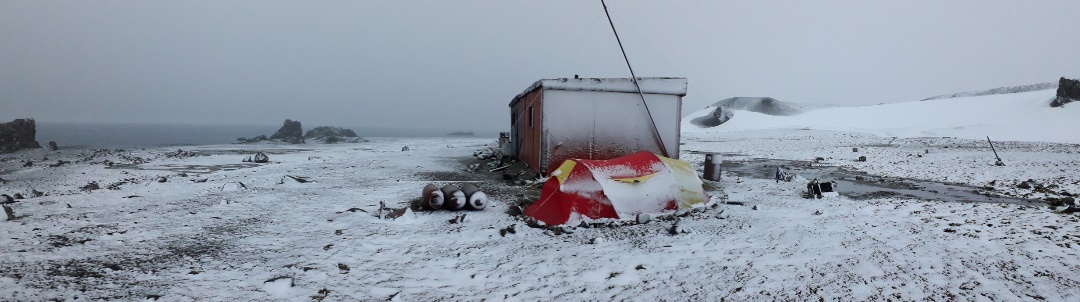 Investigador del INACH estudió formas de alimentación de pingüinos y petreles en isla Nelson