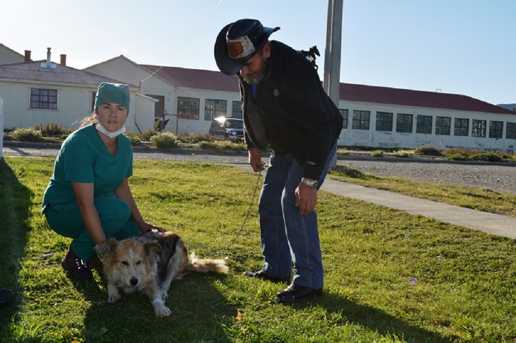 Campaña de esterilización de mascotas «Esterilización Responsabilidad Compartida» se efectuó en la comuna de Torres del Paine