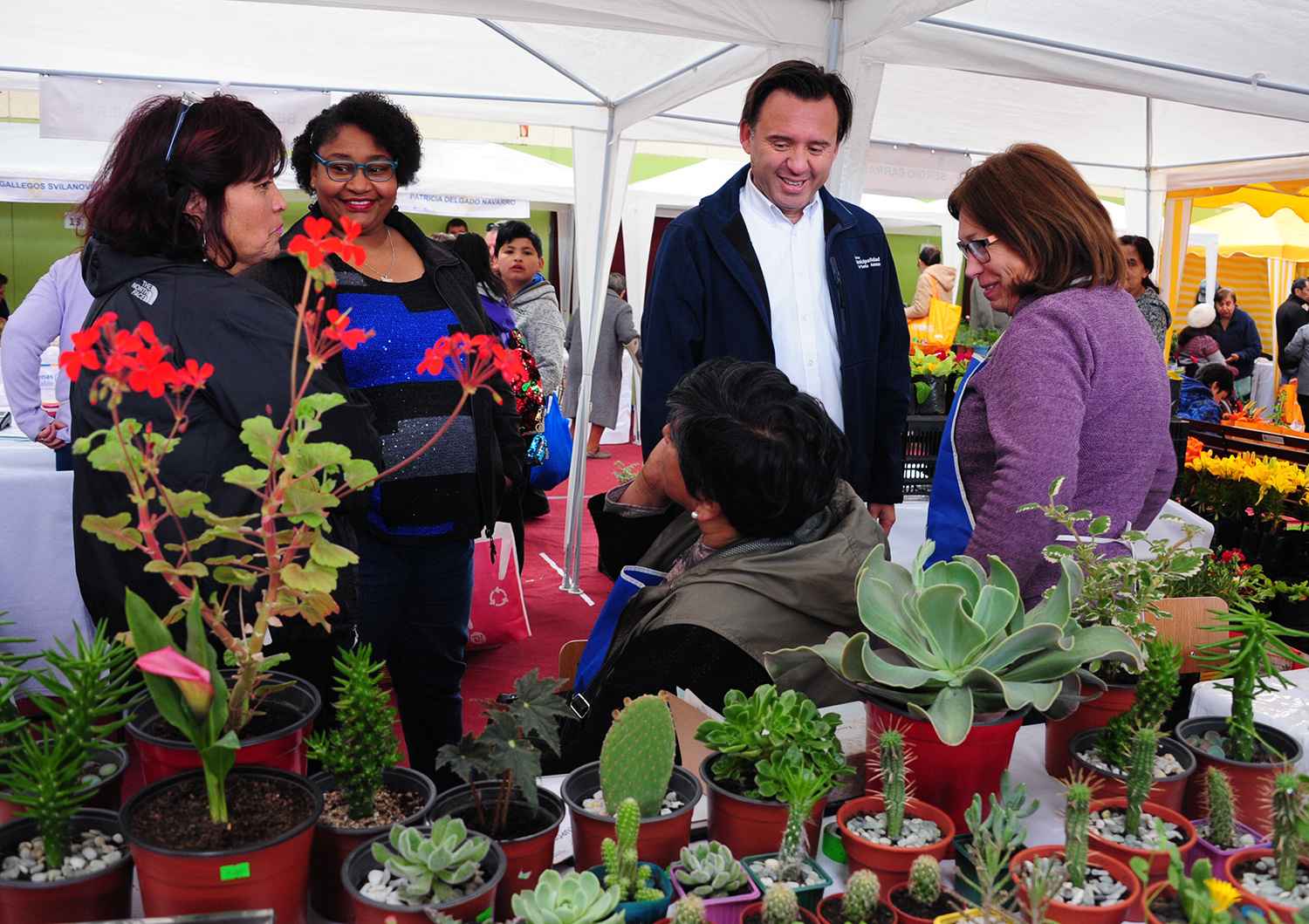 Feria Saludable se efectúa en el INSUCO de Punta Arenas