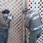 SIP de Carabineros detiene a uno de los autores de robo con violencia en un domicilio de av. Pueblos Unidos en Archipiélago de Chiloé: continúa prófugo el segundo autor presunto de la agresión