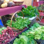 Comienza a operar acuerdo de agricultura orgánica con Brasil