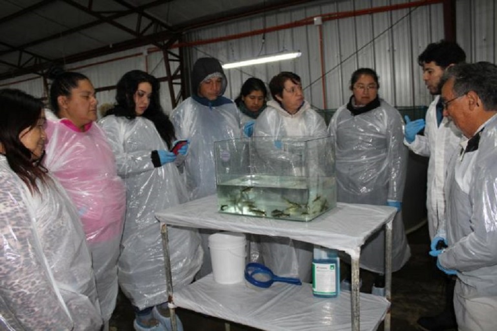 Comunidades kawesqar visitaron planta salmonífera en Punta Arenas
