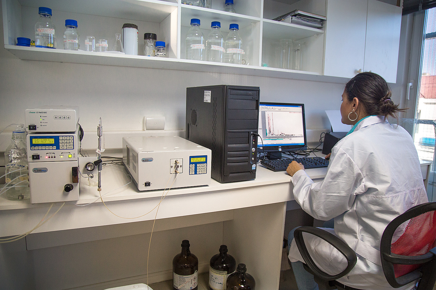 Identifican compuestos con actividad antibacteriana en restos de centollón y kril antártico