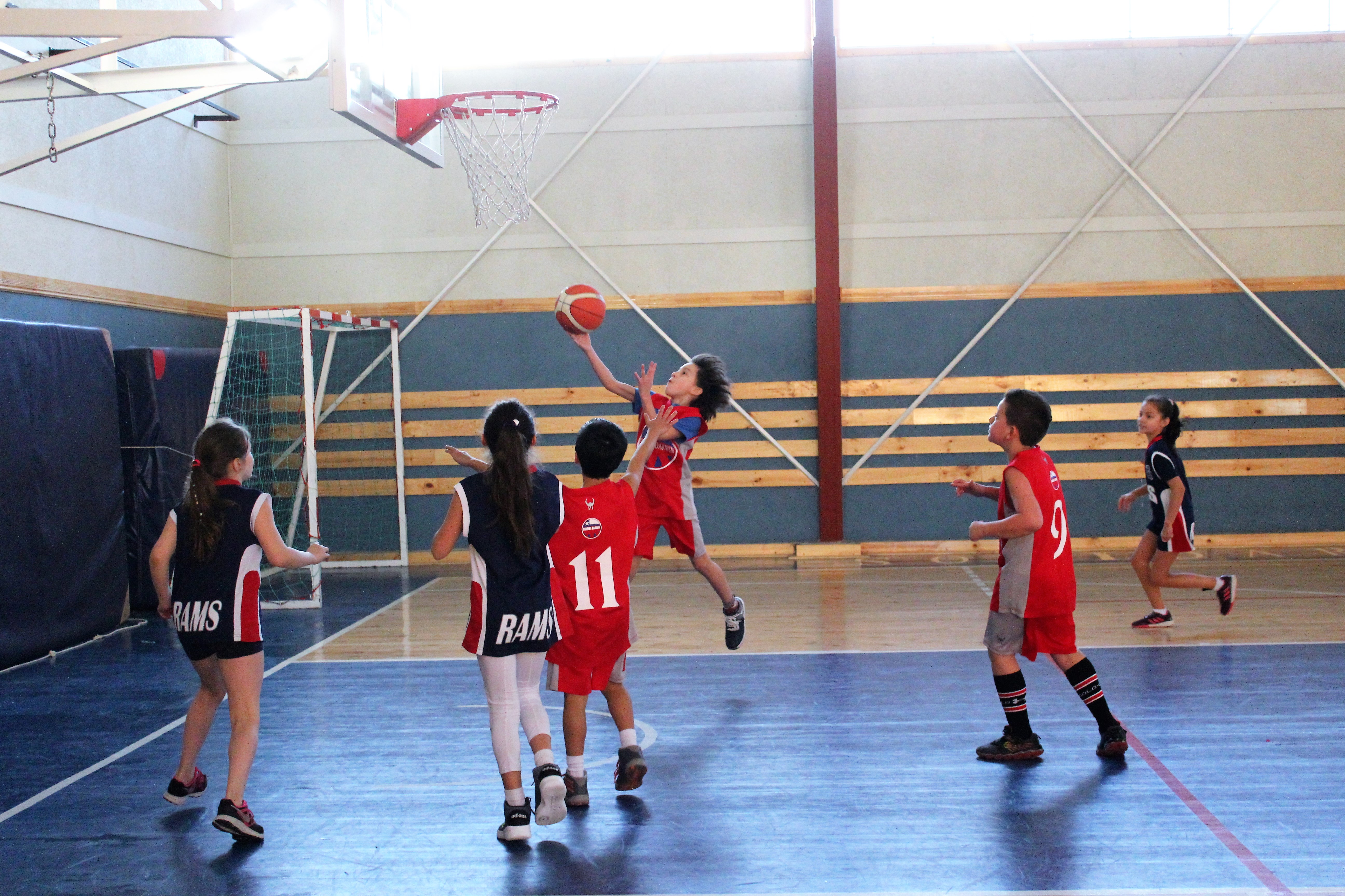 Con cinco disciplinas y más de mil participantes se iniciará la Liga Deportiva Escolar 2019