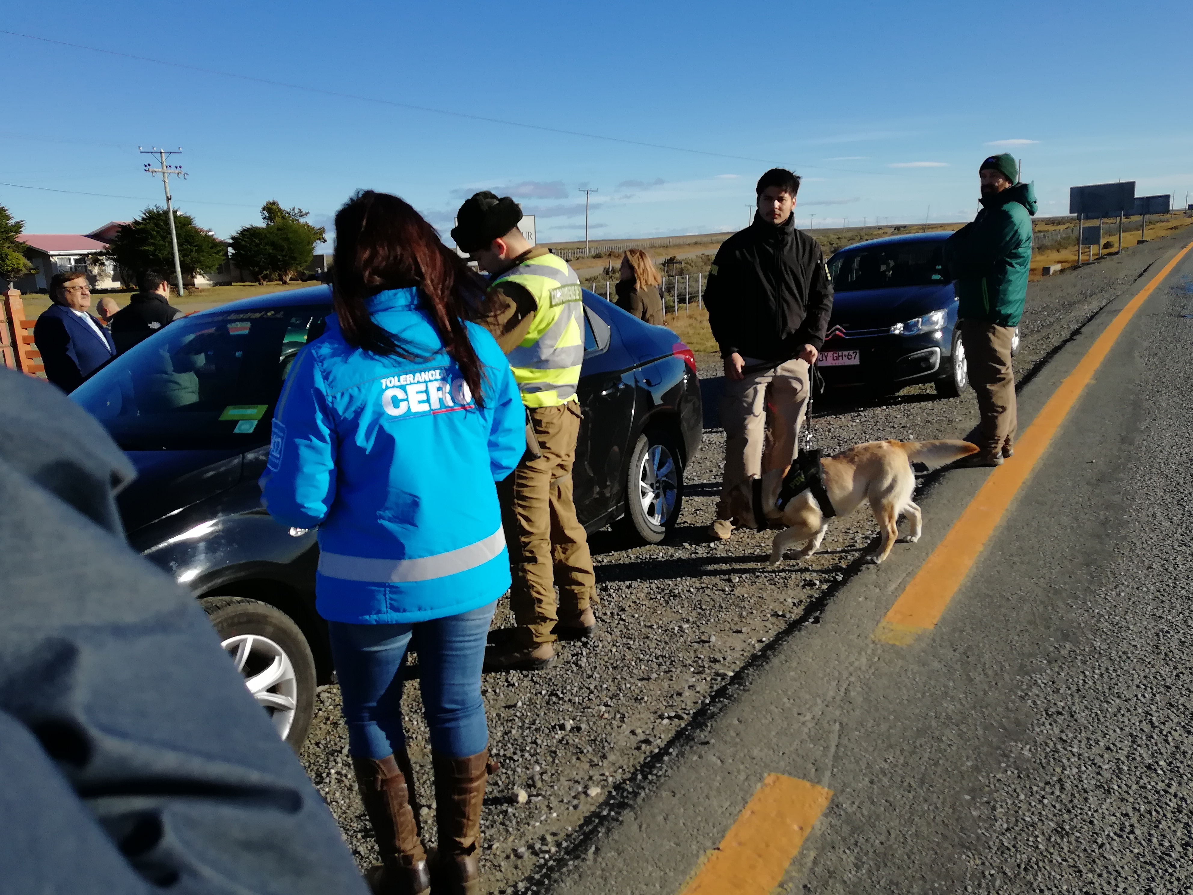 Exitoso operativo multisectorial de fiscalización efectuó la Gobernación Provincial de Magallanes