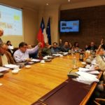 El CORE sesionará en Puerto Williams el próximo lunes 15 de abril