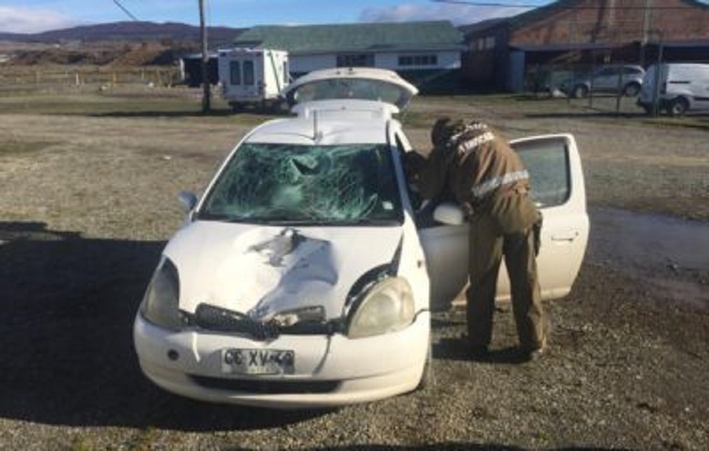 Chofer en estado de ebriedad que atropelló a una persona de 61 años durante la madrugada del Viernes Santo, fue enviado a prisión preventiva