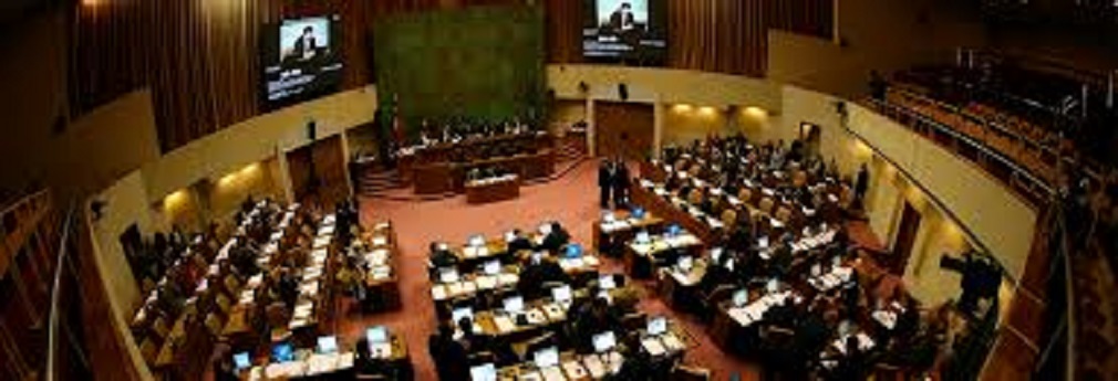 Comisión de Zonas Extremas de la Cámara de Diputados analizó sistema de leyes de excepción de Magallanes