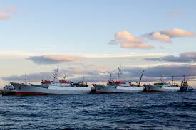 Globalpesca difunde boletín de prensa en la región de Magallanes