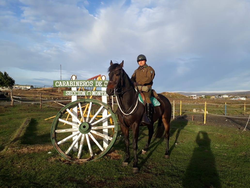 Muestra Canina y Equina se efectuará hoy en Punta Arenas en el marco del mes aniversario de Carabineros