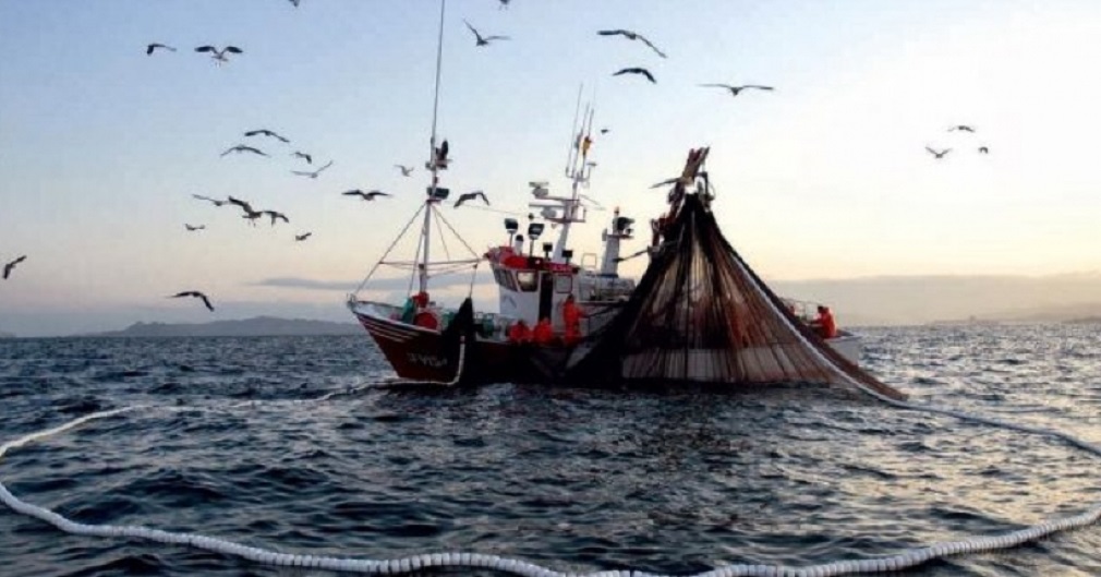 Artesanales y anuncios de despidos:  “Chile no acepta una campaña del terror de la industria pesquera”