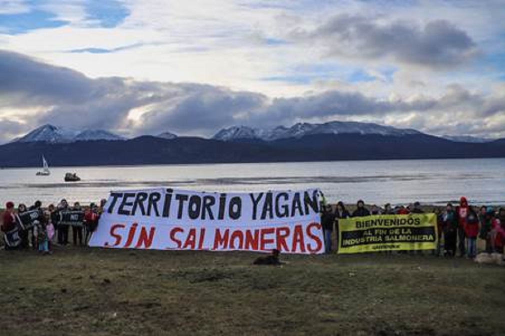 Ciudadanía valora pedido de caducidad de concesiones salmoneras en Canal Beagle