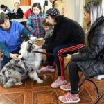 Programas Yo Aperro y Registro Social de Hogares de la Municipalidad trabajaron en el sector de Villa Split