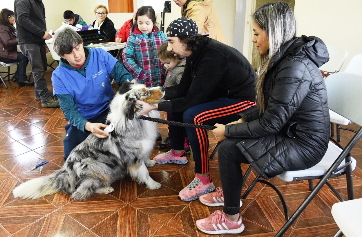Programas Yo Aperro y Registro Social de Hogares de la Municipalidad trabajaron en el sector de Villa Split