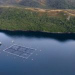 Subsecretaría de Pesca dispone caducar cuatro concesiones acuicolas para explotación del salmón en canal Beagle, región de Magallanes