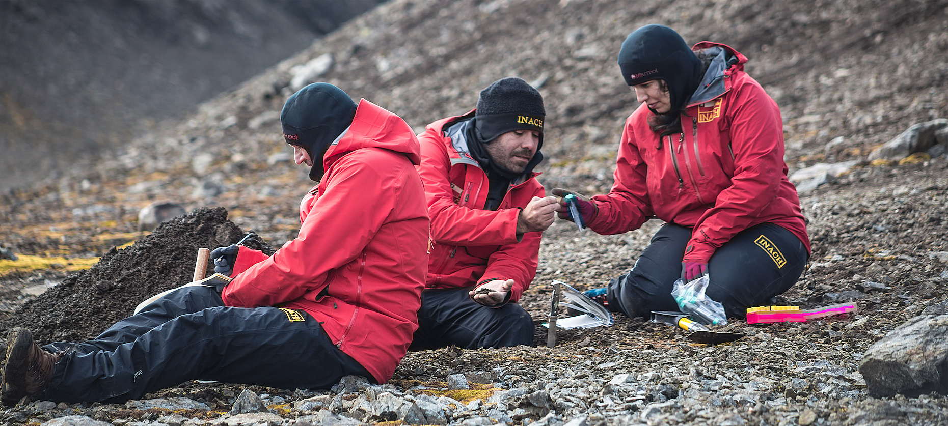 Ciencia Antártica: ¿Cómo afecta el proceso de congelación y descongelación al suelo antártico y las plantas vasculares?