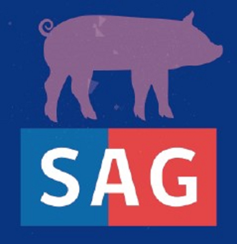 SAG y Asprocer lanzan guía de buenas prácticas sobre bienestar animal en  producción de cerdos | OvejeroNoticias