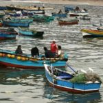 Gremios de pescadores artesanales se inquietan por lento proceso de derogación de la Ley de Pesca