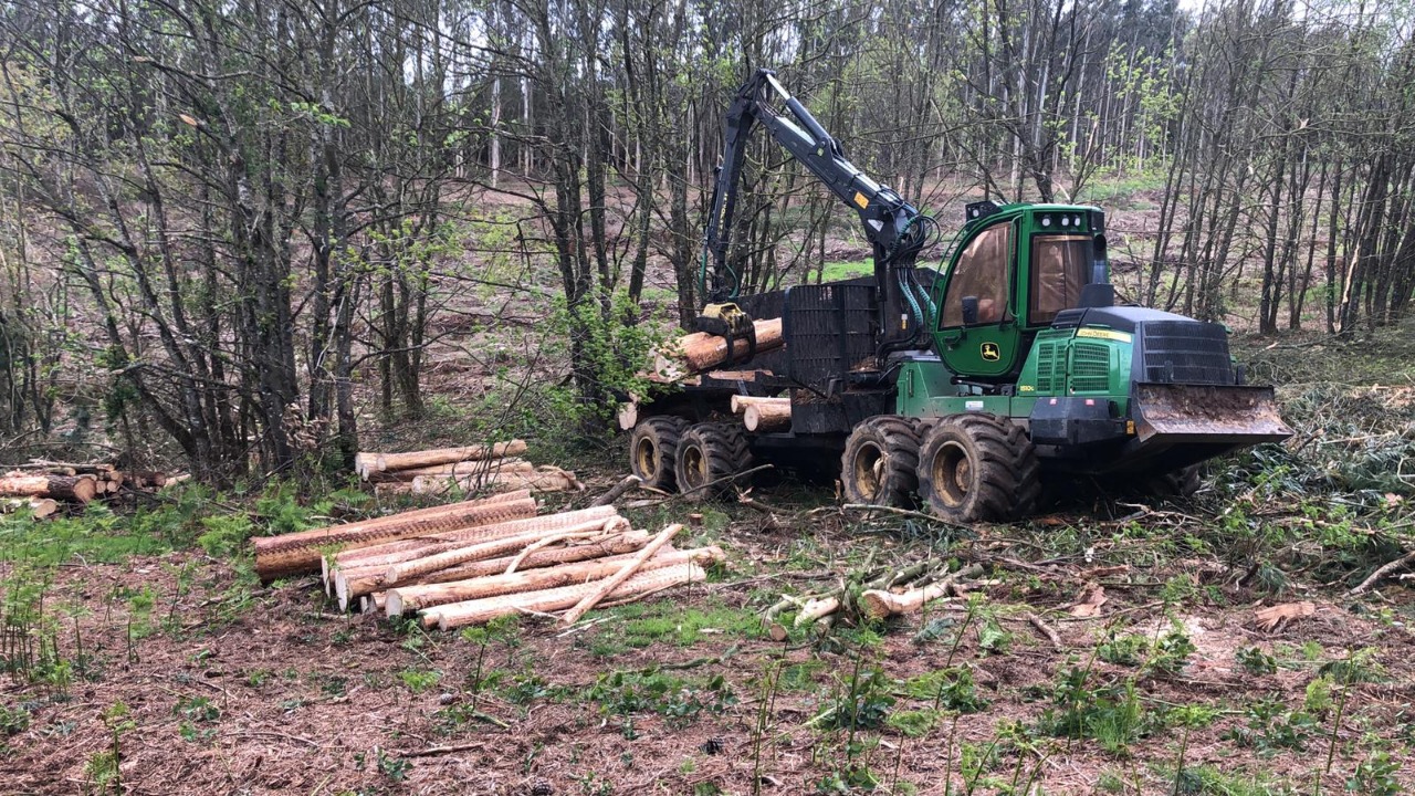 Productores forestales de Puerto Williams aprenden las bondades de la energía térmica en España