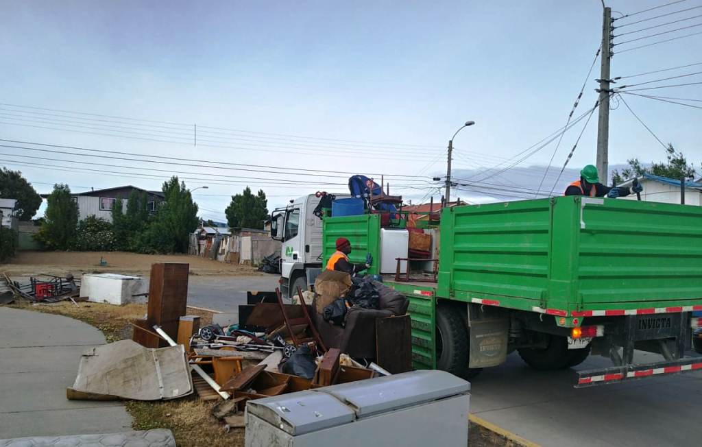 Retiro de cachureos en el sector centro sur de Punta Arenas se realiza del 25 al 27 de junio
