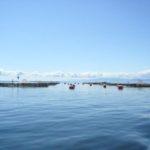 Centro IDEAL: Estudio científico cuestiona los discursos a favor del crecimiento de la acuicultura