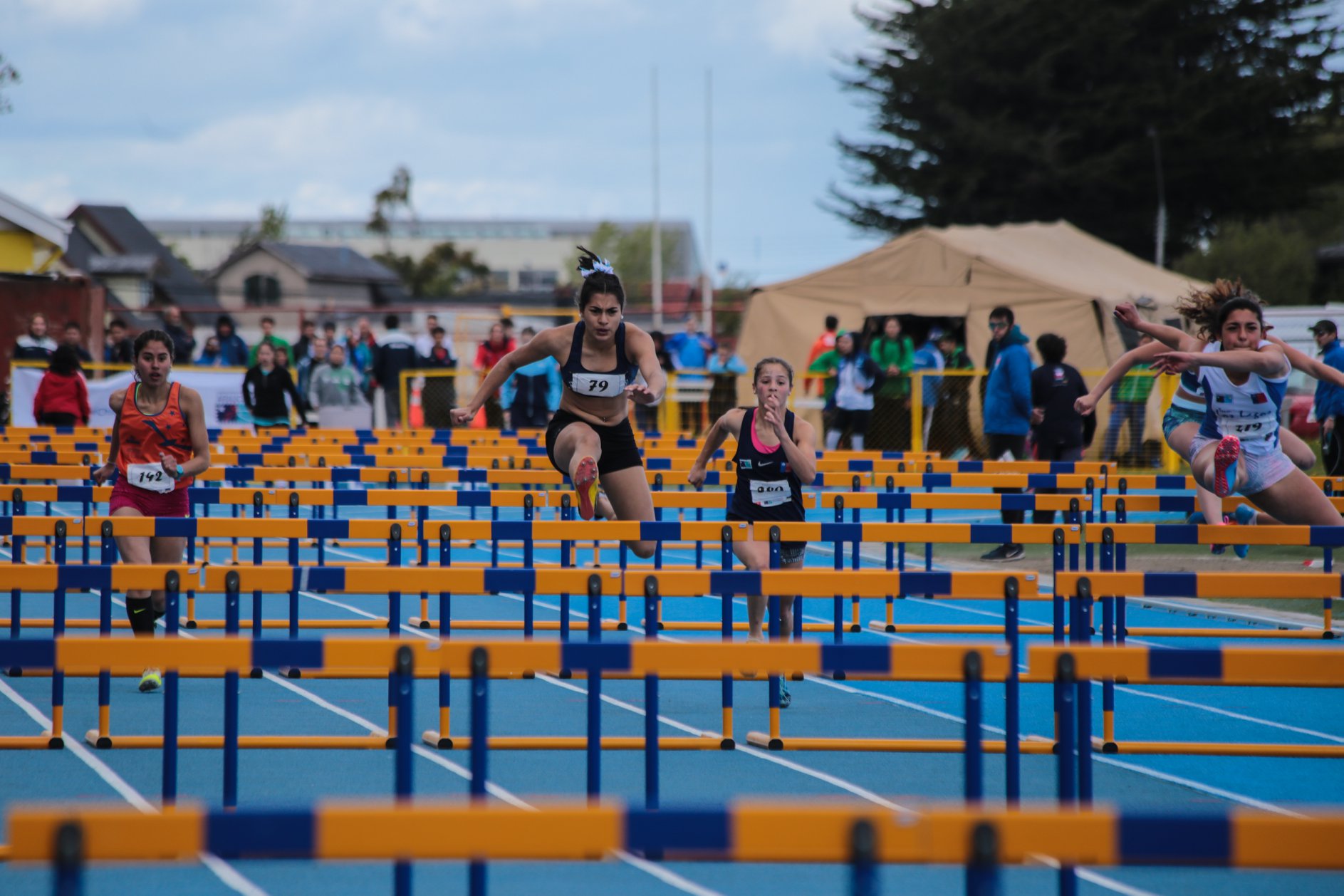 IND abre convocatoria para seleccionar a los técnicos de los Juegos de la Araucanía 2019