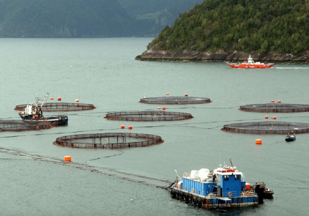 Ingresa al Congreso proyecto para perfeccionar la institucionalidad ambiental que regula la industria salmonera