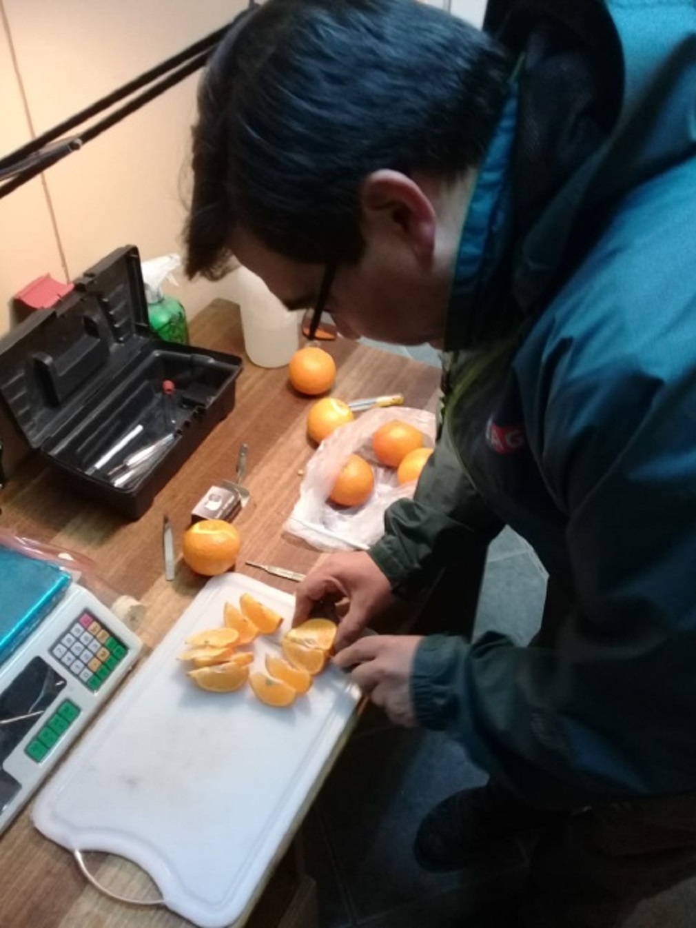 SAG Magallanes explica: ¿Sabe que significa que un producto de origen vegetal y animal sea de riesgo para el sector silvoagropecuario regional?