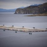 Senadora Carolina Goic se refiere a la salmonicultura en Magallanes