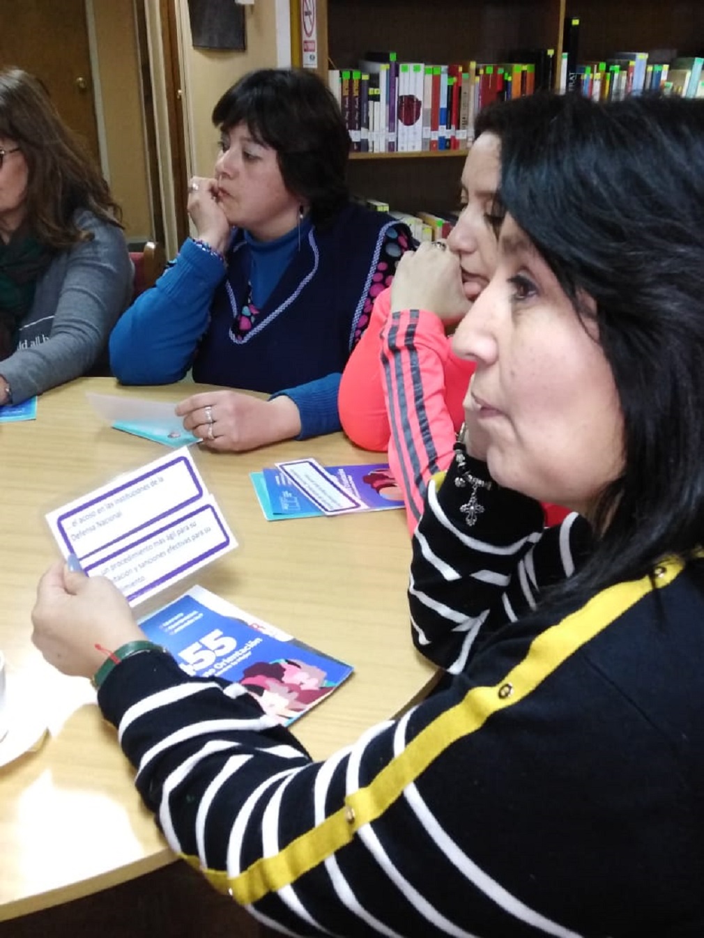 Celebración del 3° aniversario de la creación del Ministerio de la Mujer y la Equidad de Género, con talleres y conversatorios para dar a conocer la Agenda Mujer en San Gregorio y Puerto Williams