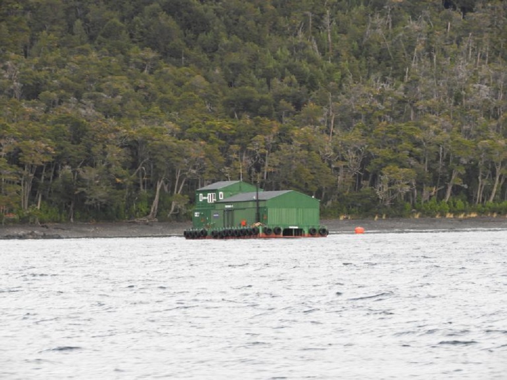 Se confirma la caducidad de 4 concesiones salmoneras en Canal Beagle y Paso Picton, conforme a la ley vigente