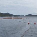 SERNAPESCA informa de la  situación sanitaria de la industria del salmón en las regiones de Los Lagos, Aysén y Magallanes