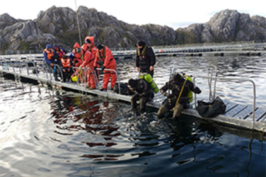 Familia inició acciones legales por muerte de buzo en instalaciones de Nova Austral en 2017: buscan reabrir la investigación y esclarecer las circunstancias de la muerte del trabajador
