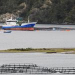 La necesaria transparencia en la industria salmonera