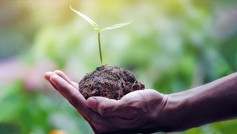 Los recursos naturales del planeta para el año 2019 ya están agotados